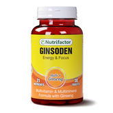 Ginsoden